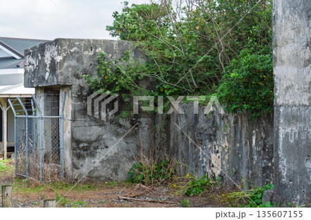 太平洋戦争の軍事遺構、劣化し風化したコンクリート造の戦闘指揮所跡（負の遺産・歴史資料） 135607155