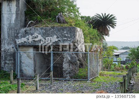 戦争遺産、フェンスで囲われたコンクリート造の旧戦闘指揮所跡とソテツ（喜界島・負の遺産） 135607156