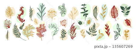 A set of spring branches . Hand drawn. Not AI, vector illustration. 135607269