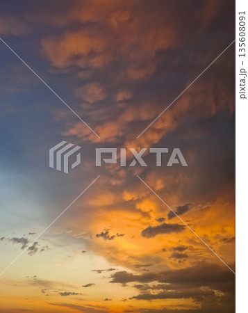 Expansive view of a dramatic sunset sky filled with textured mammatus and altocumulus clouds. Breathtaking natural scene with the horizon glowing in fiery orange hues, transiting into deep indigo 135608091