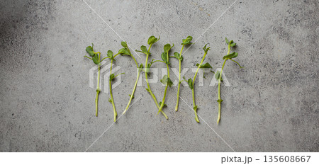 Fresh pea shoots scattered gray concrete background healthy fibre superfood Fresh pea shoots scattered gray concrete background healthy fibre superfood 135608667