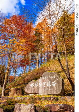 せせらぎ渓谷 (11月　紅葉) 135610226