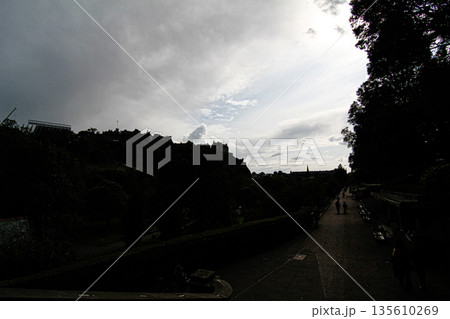 エジンバラ城下の公園に訪れる夕暮れ 135610269