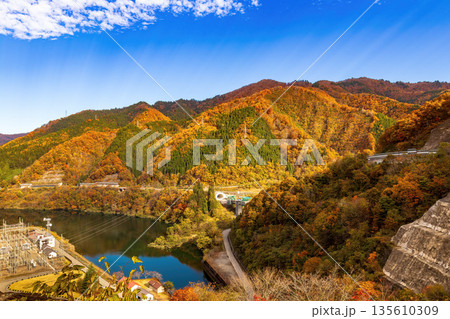 九頭竜ダム　(11月　紅葉　秋　晴れ) 135610309