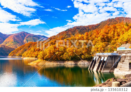 九頭竜ダム　(11月　紅葉　秋　晴れ) 135610312