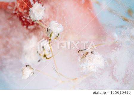 Delicate white flowers frozen in ice, soft pastel abstract background Delicate white flowers frozen in ice, soft pastel abstract background 135610419