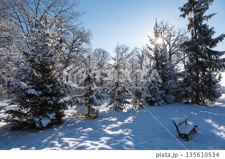 landscape of a snowy park on a clear winter day landscape of a snowy park on a clear winter day 135610534