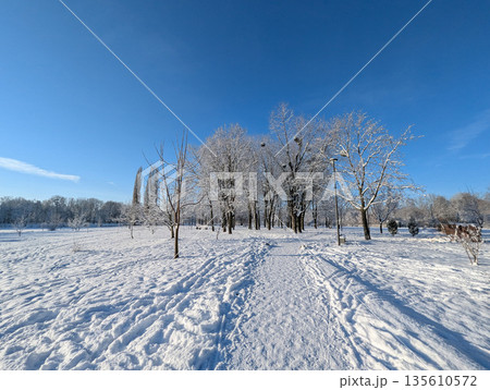 Beautiful winter landscape with snow-covered trees and an alley on a clear sunny day. 135610572