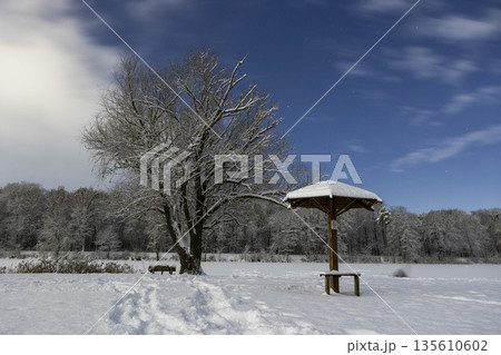Umbrella-shaped canopies on a snowy winter night beach Umbrella-shaped canopies on a snowy winter night beach 135610602