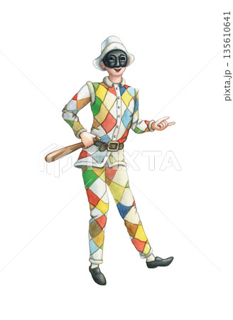Harlequin carnival costume 135610641
