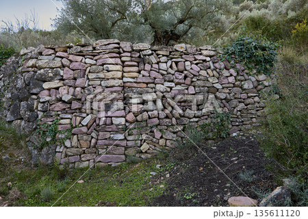 A wall made of stone on stone, with olive trees. 135611120