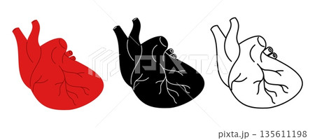Human heart icons. Cardiology or anatomy medical signs. Red internal organ with aorta. Black and white cardiac logo. Cardio health care. Vector set of multicolored anatomical symbols Human heart icons. Cardiology or anatomy medical signs. Red internal organ with aorta. Black and white cardiac logo. Cardio health care. Vector set of multicolored anatomical symbols 135611198