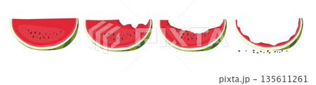 Large cut piece of watermelon. Whole, bitten and eaten fruit. Fresh red berry with seeds and peels. Natural healthy dessert. Chopped melon part and rind. Isolated food slices vector set 135611261