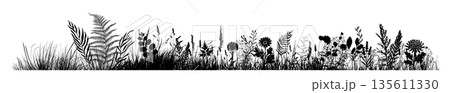 Silhouette of grass horizon. Border, meadow...のイラスト素材 [135611330] - PIXTA