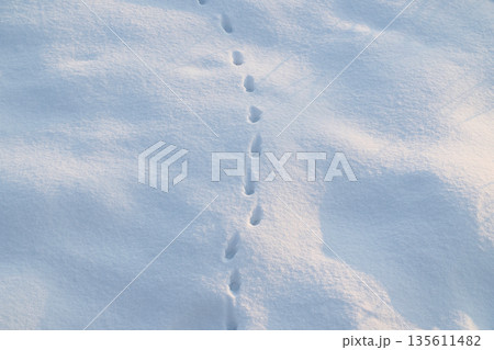 足跡のついた雪原 135611482