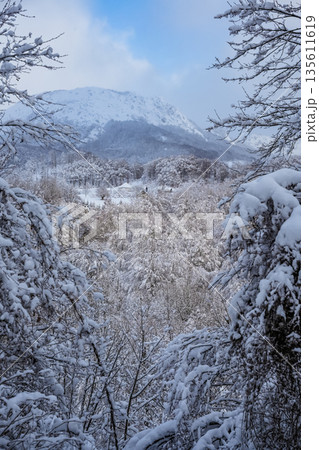 Winter Landscape Background with Snowy Trees and Mountain Peaks Winter Landscape Background with Snowy Trees and Mountain Peaks 135611619