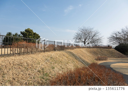 吉岡町城山みはらし公園　古墳広場 135611776
