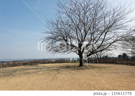 吉岡町城山みはらし公園 古墳広場 吉岡町城山みはらし公園 古墳広場 135611778