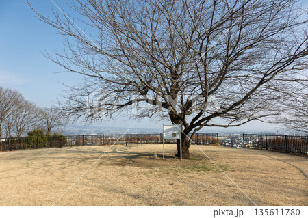 吉岡町城山みはらし公園 古墳広場 吉岡町城山みはらし公園 古墳広場 135611780