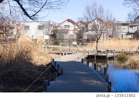 千葉県松戸市根木内歴史公園周辺2026年1月 千葉県松戸市根木内歴史公園周辺2026年1月 135611802