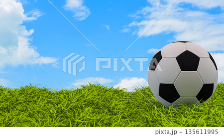 Classic Soccer Ball on Green Grass Under Blue Sky 3d render. 135611995