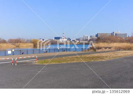 千葉県松戸市緊急用船着き場周辺2026年1月 千葉県松戸市緊急用船着き場周辺2026年1月 135612069