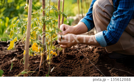 苗を植えるガーデナーの作業する風景 135612088