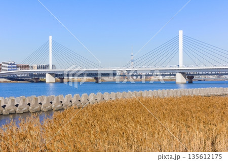 東京都江戸川区荒川河口付近2026年1月 135612175