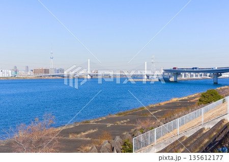 東京都江戸川区荒川河口付近2026年1月 東京都江戸川区荒川河口付近2026年1月 135612177
