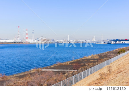 東京都江戸川区荒川河口付近2026年1月 135612180