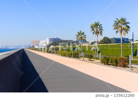 千葉県浦安市舞浜駅周辺2026年1月 千葉県浦安市舞浜駅周辺2026年1月 135612260