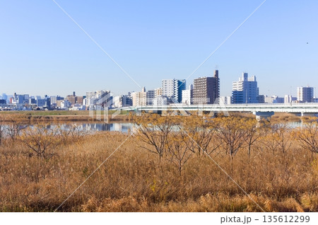 東京都葛飾区荒川2026年1月 東京都葛飾区荒川2026年1月 135612299