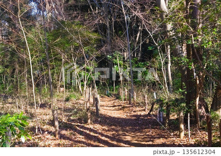 千葉県鎌ケ谷市粟野の森周辺2026年1月 135612304