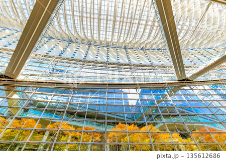 東京　千代田区 丸の内　東京国際フォーラム前広場の紅葉 135612686