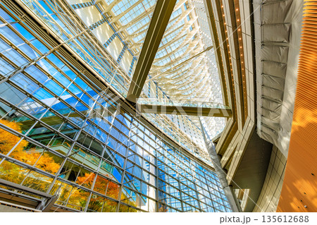 東京　千代田区 丸の内　東京国際フォーラム前広場の紅葉 135612688