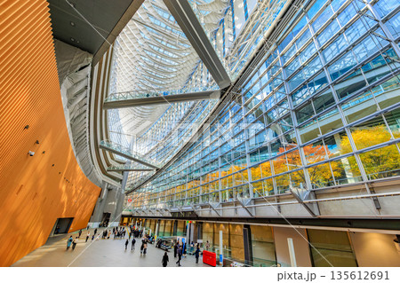 東京　千代田区 丸の内　東京国際フォーラム前広場の紅葉 135612691