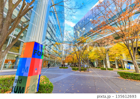 東京　千代田区 丸の内　東京国際フォーラム前広場の紅葉 135612693