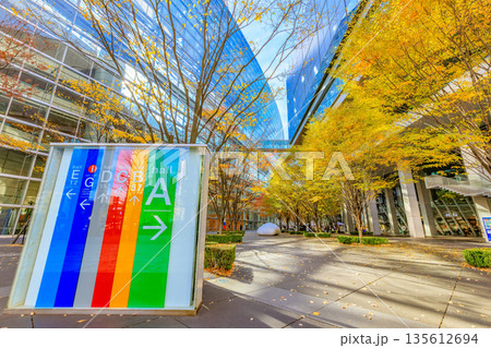東京 千代田区 丸の内 東京国際フォーラム前広場の紅葉 東京 千代田区 丸の内 東京国際フォーラム前広場の紅葉 135612694