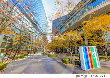東京　千代田区 丸の内　東京国際フォーラム前広場の紅葉 135612718