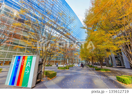 東京　千代田区 丸の内　東京国際フォーラム前広場の紅葉 135612719