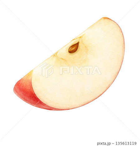 りんご 水彩風 イラスト カット フルーツ 切り抜き素材 135613119