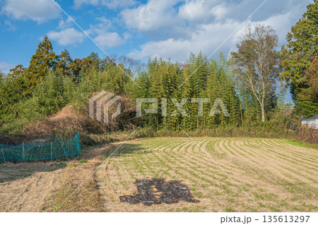 冬の田んぼ　奈良県明日香村 135613297