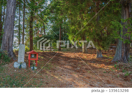 大伴夫人(藤原鎌足の母)の伝承墓のある森 奈良県明日香村 大伴夫人(藤原鎌足の母)の伝承墓のある森 奈良県明日香村 135613298