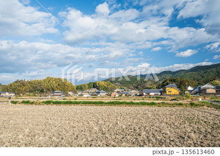 冬の明日香村田園風景　奈良県 135613460