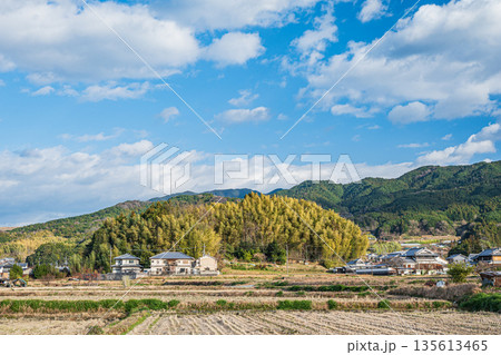 冬の明日香村田園風景 奈良県 冬の明日香村田園風景 奈良県 135613465