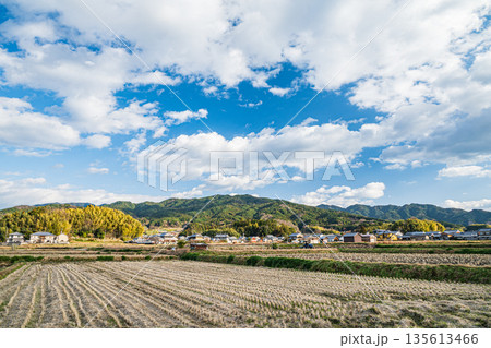 冬の明日香村田園風景　奈良県 135613466