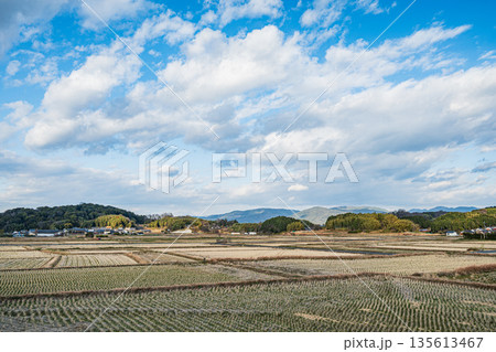 冬の明日香村田園風景　奈良県 135613467