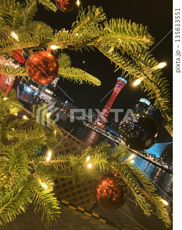 クリスマスツリー越しに望む神戸港の夜景　ポートタワーと冬のイルミネーション 135613551
