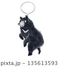 歩いているツキノワグマの注意喚起イラスト（吹き出し付き・中サイズ） 135613593