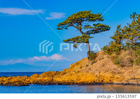 （神奈川県）立石公園から富士山遠望 135613597